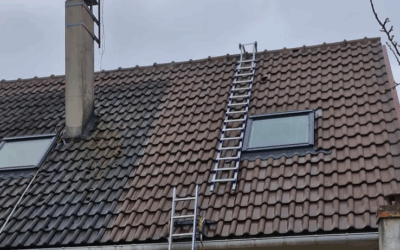 DALEP vs Hydrofugation : Quelle différence pour votre toiture ?